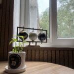 🌧️ Rainy Days & Comfortable Working: Why Monsoon is Best Spent at Covyom